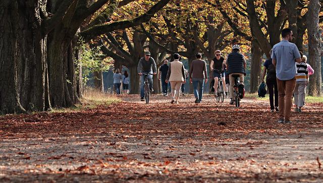 人が集まる公園